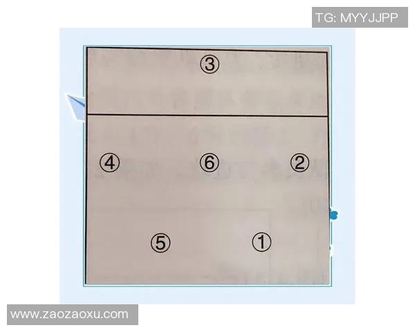 广州排球队的转换打法深度分析与战术解读